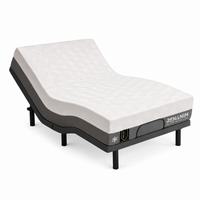 Adjustable Bed Frame Built for Recovery Comfort, Massage Function, USB Charging, Under-Bed Lighting